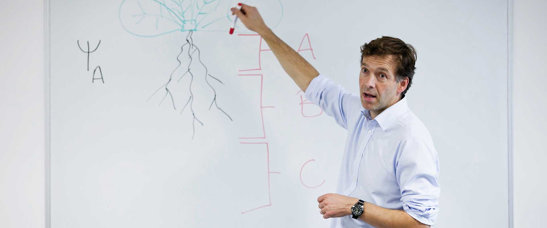Offering Guidance on Assignments and Essays for Medicine Tutors in the UK