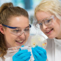 A Complete Guide to Biomedical Sciences Tutors in the UK